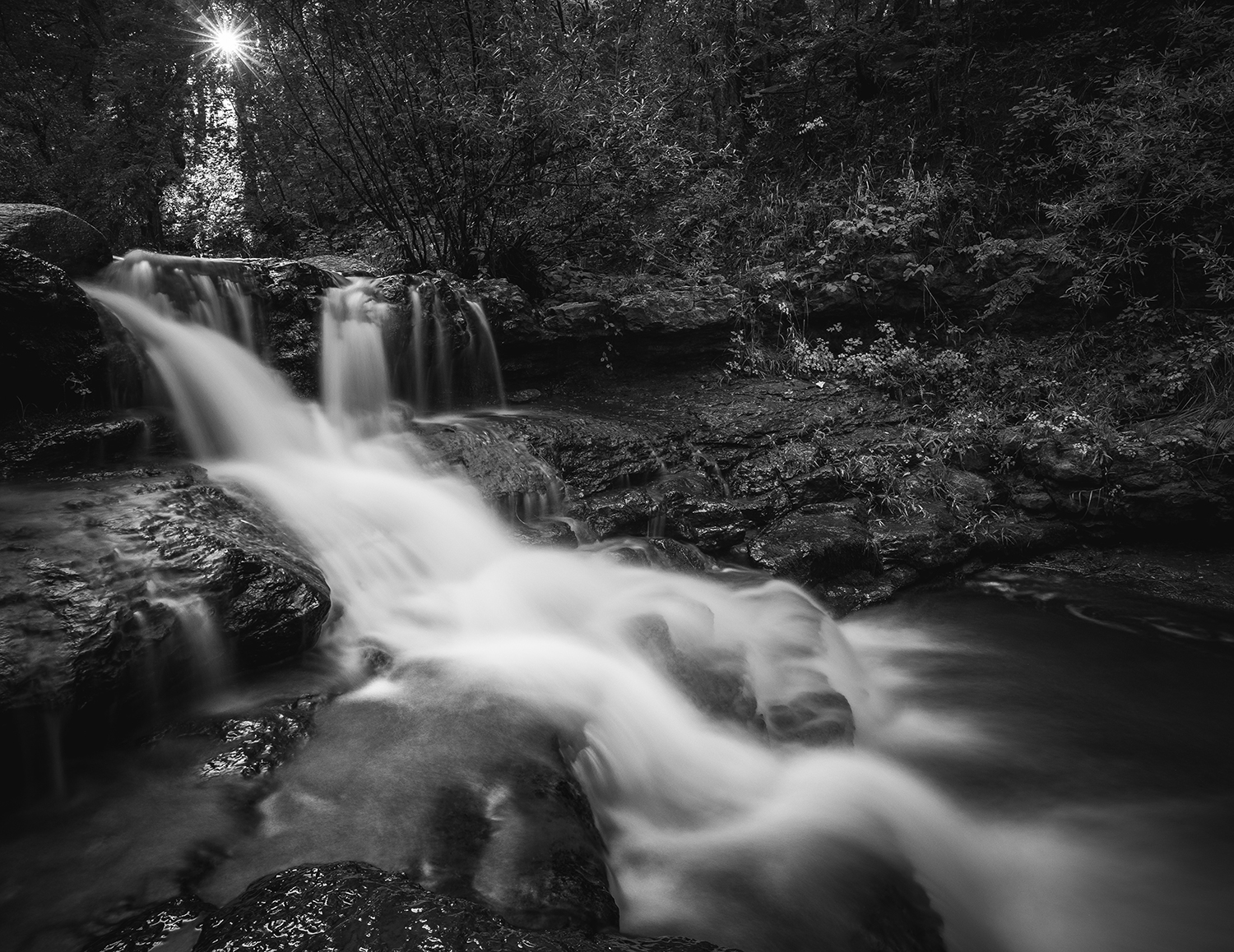 Photograph by Eric Mischke