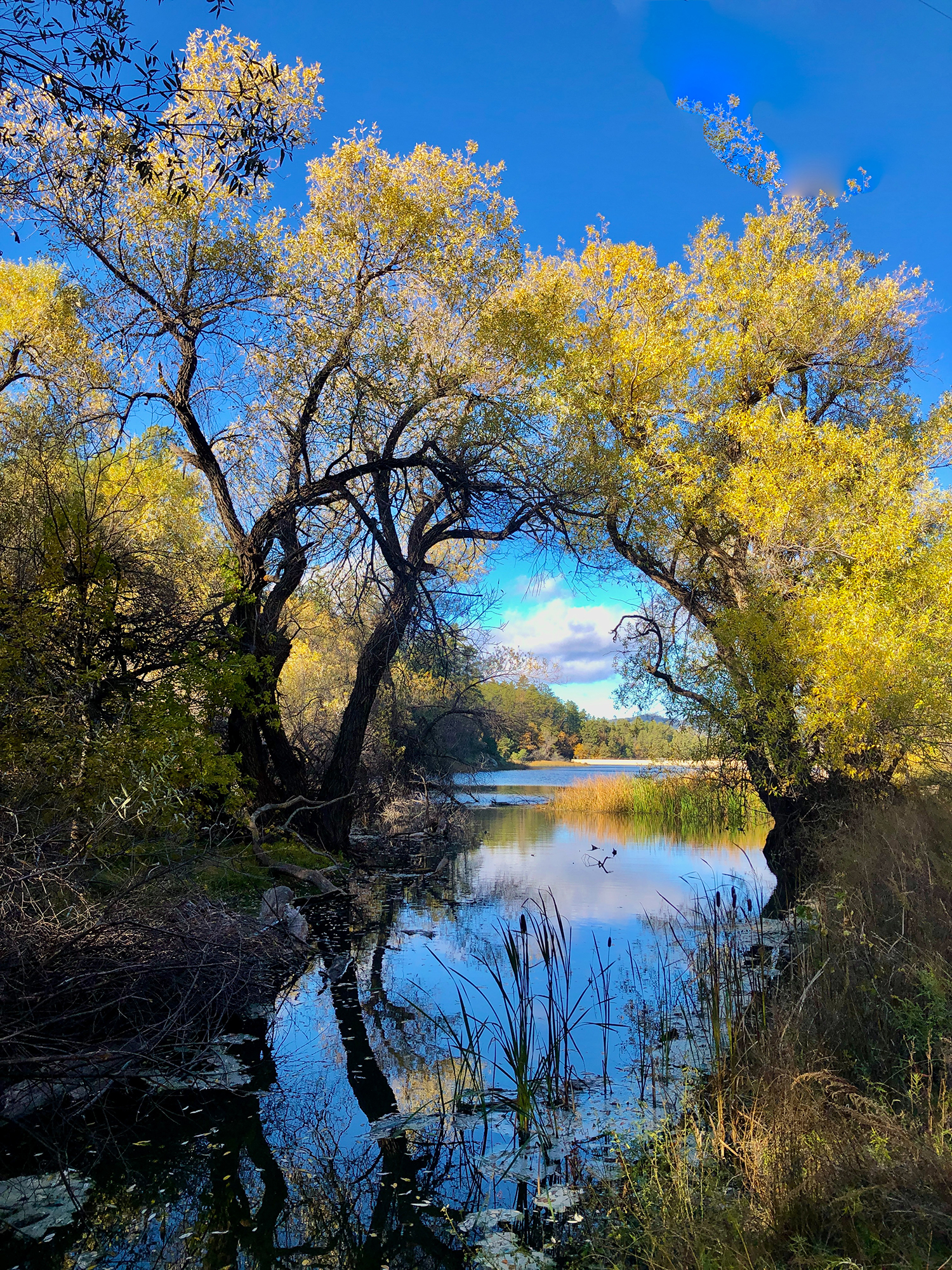 Photograph by Karen Shaw
