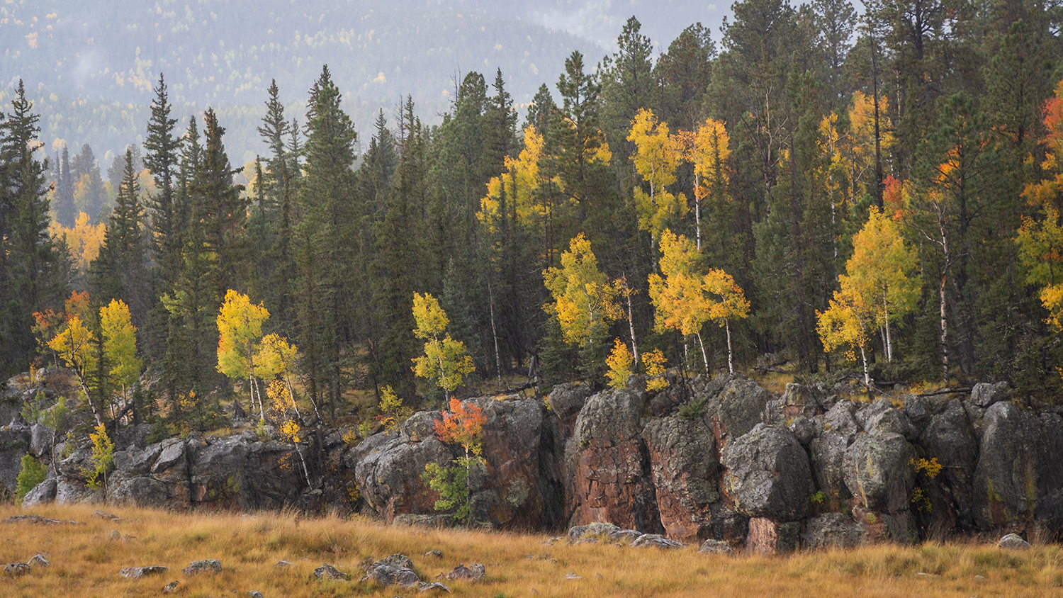 Photograph by Randy Wheelis