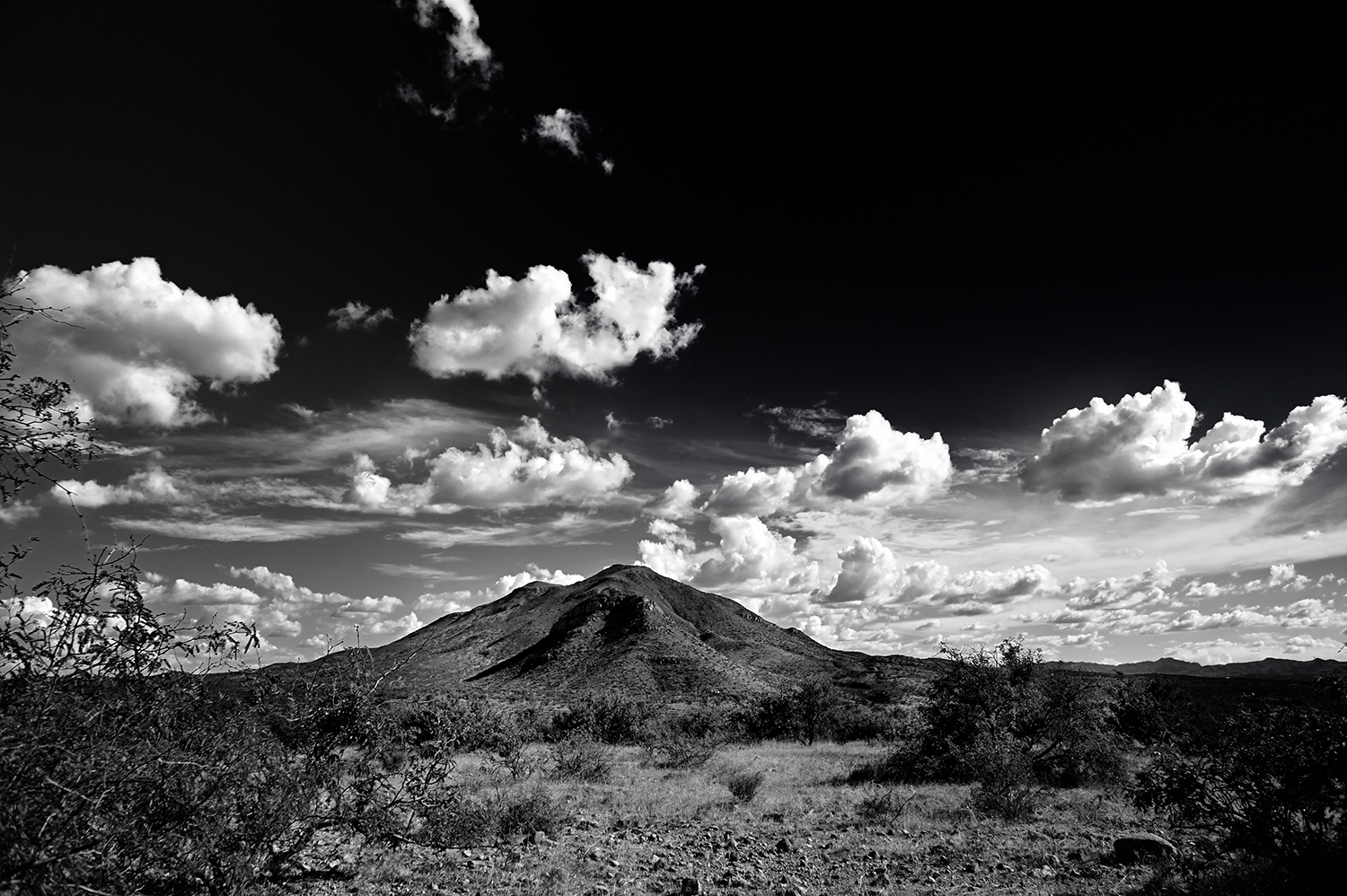 Photograph by Jim Dell