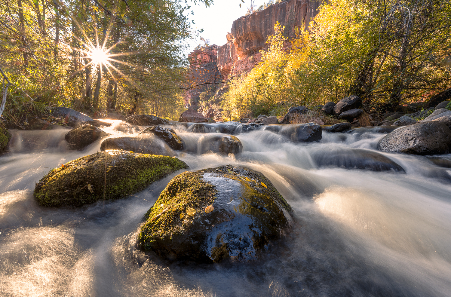 Photograph by Craig Peterson