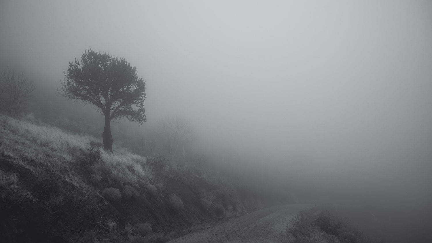 Photograph by Eric Mischke
