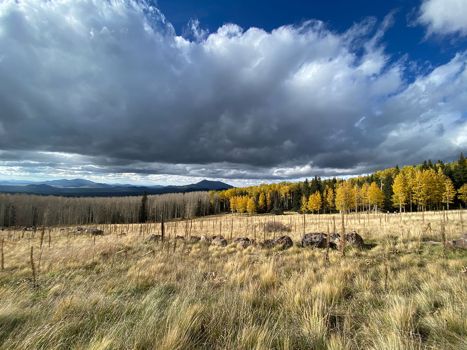 Photograph by Amy Starks