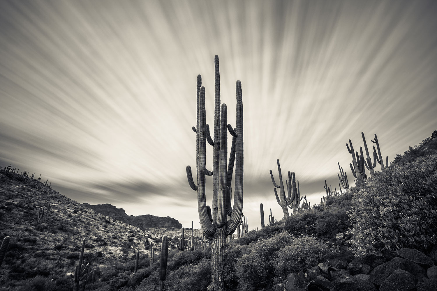 Photograph by Eric Mischke