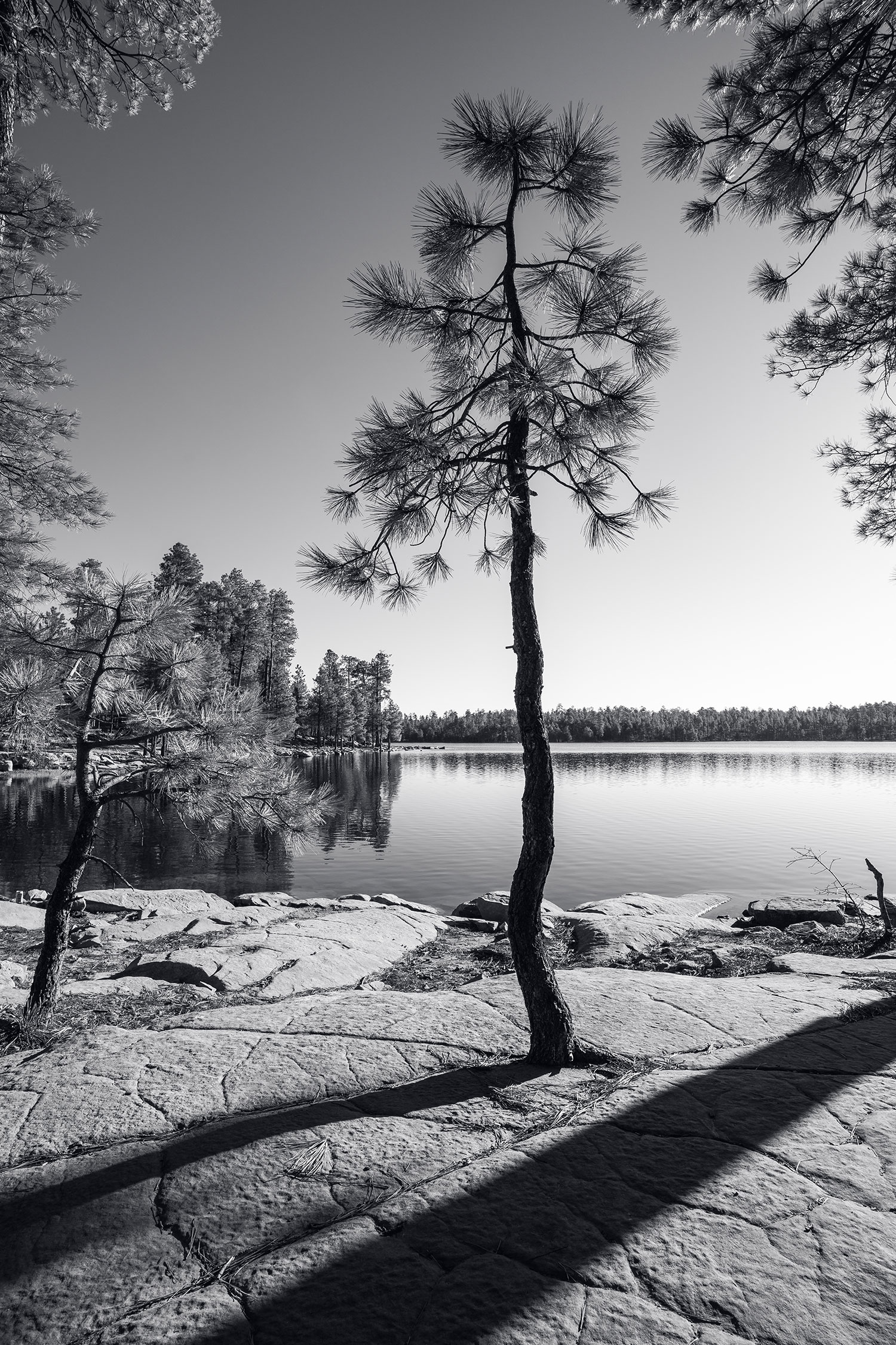 Photograph by Eric Mischke