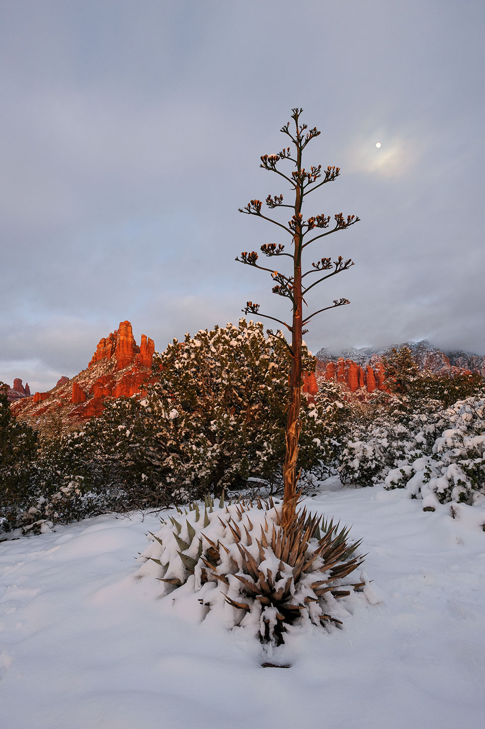 Photograph by Elias Butler