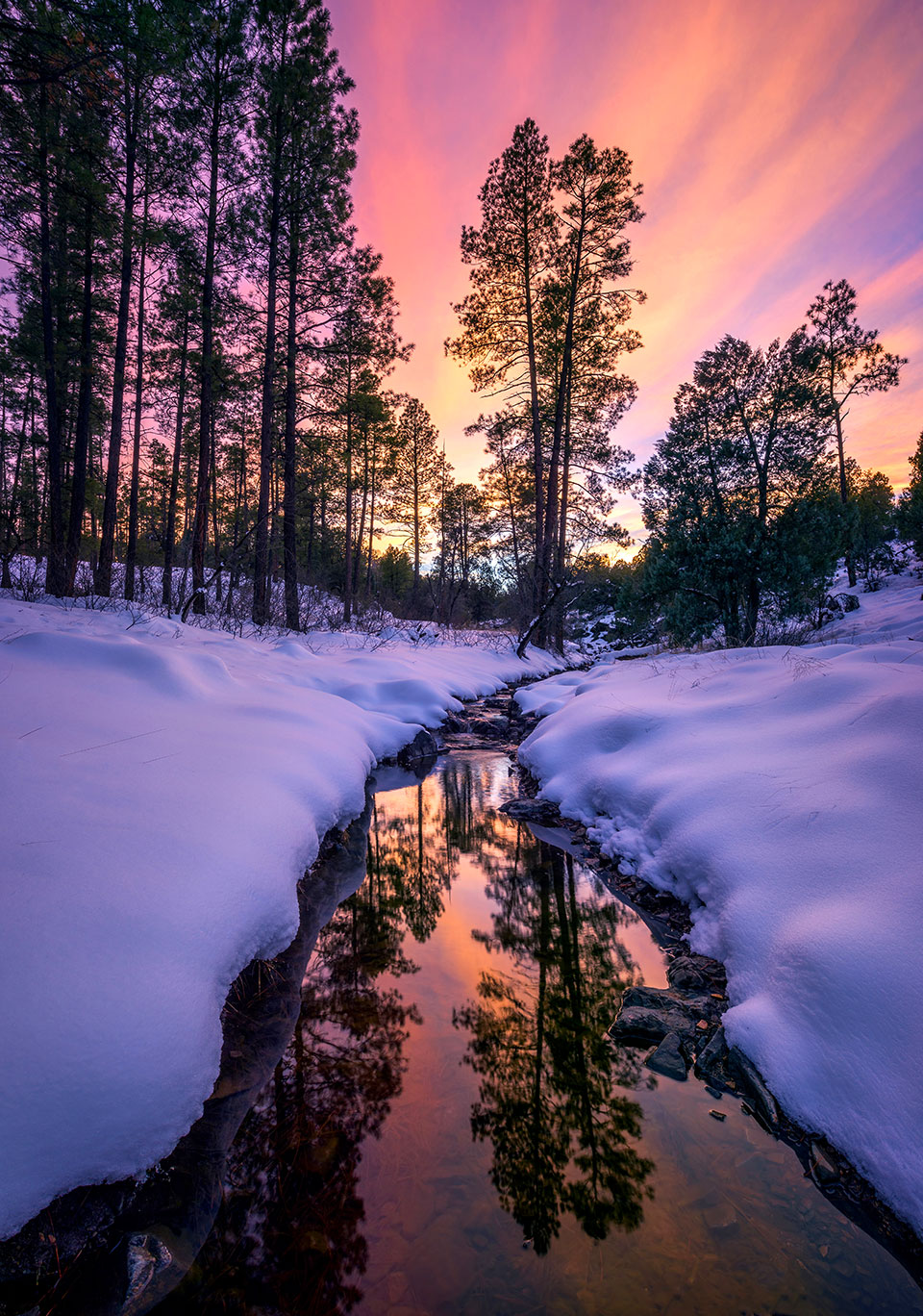 Photograph by Theresa Rose Ditson