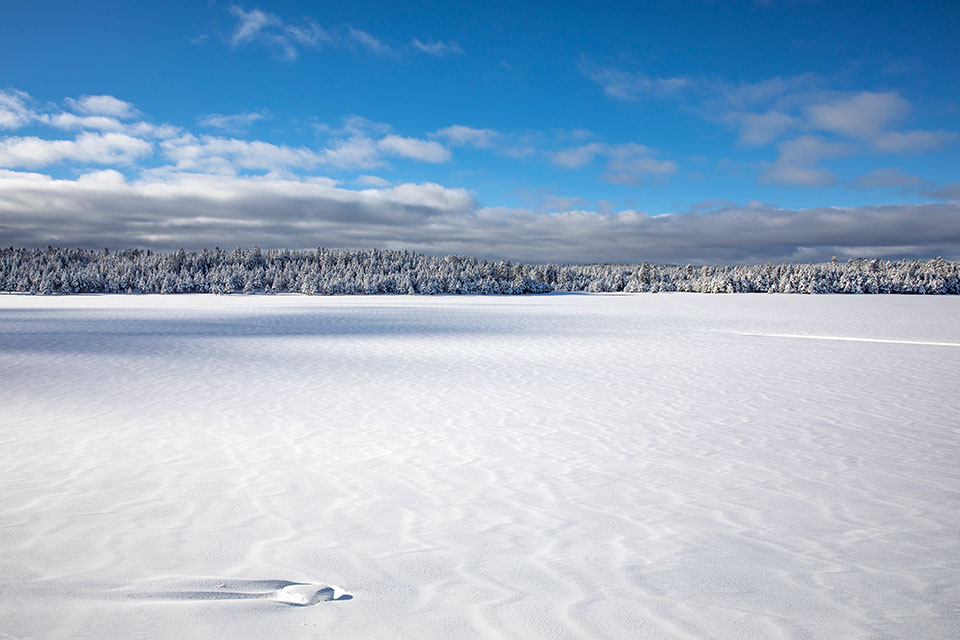 Photograph by Tom Bean