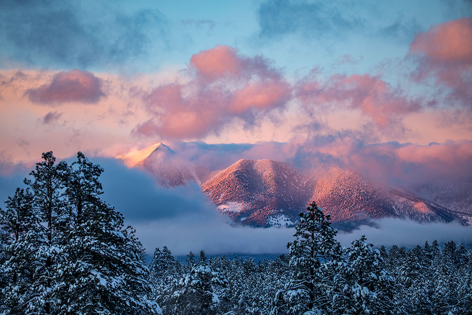 Photograph by Tom Bean