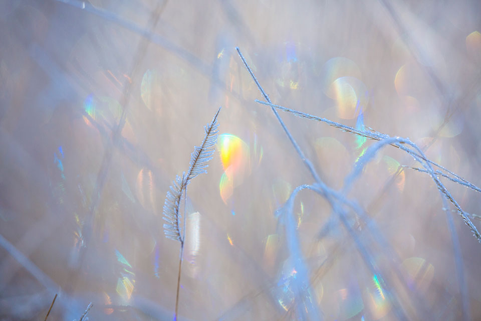 Photograph by Tom Bean