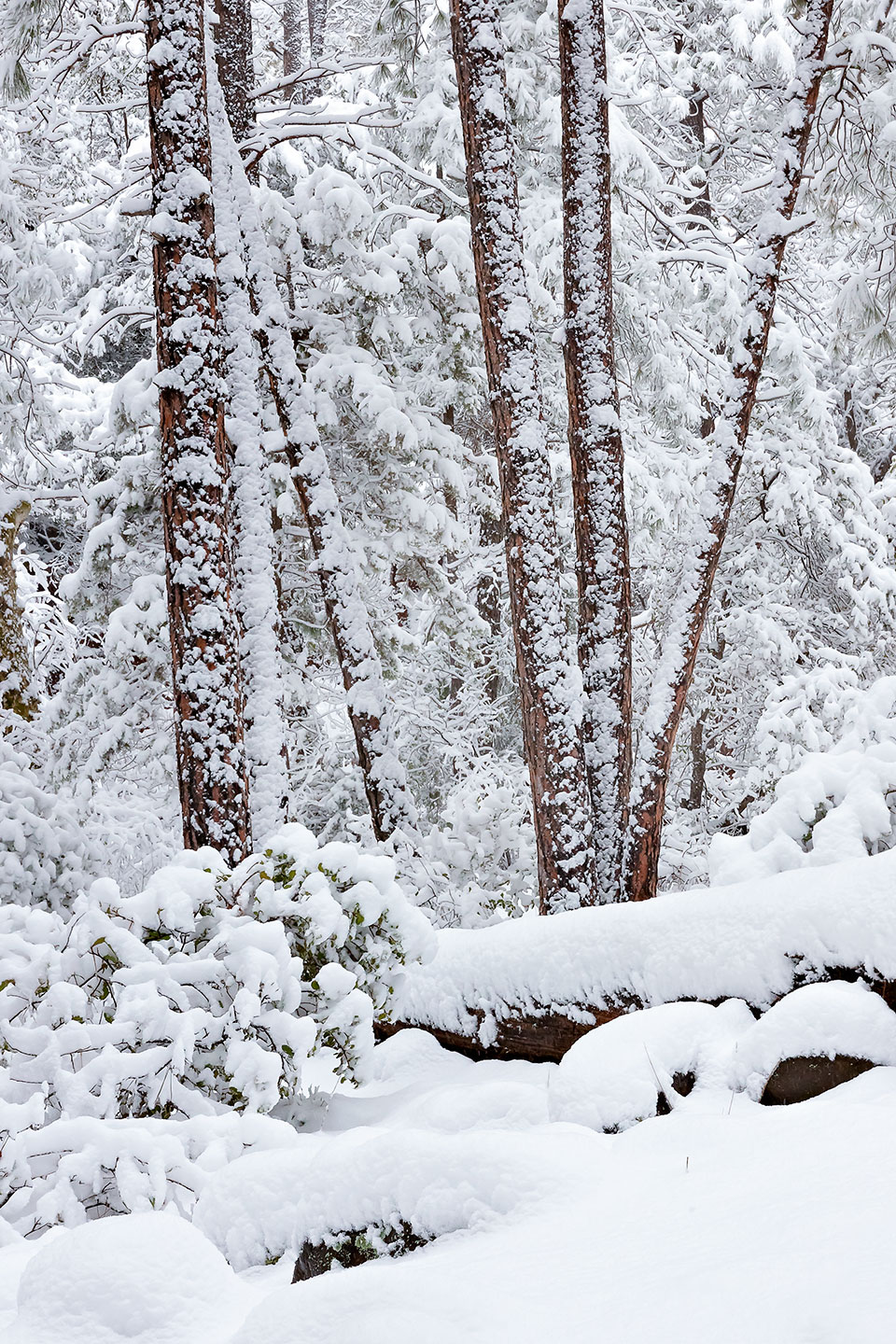 Photograph by Derek von Briesen
