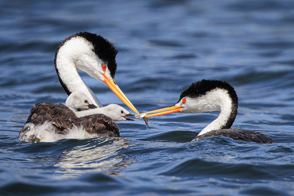 Photograph by Kathleen Murphy