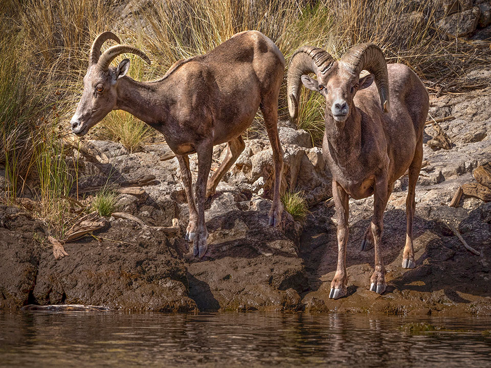 Photograph by Isabel Guerra Clark