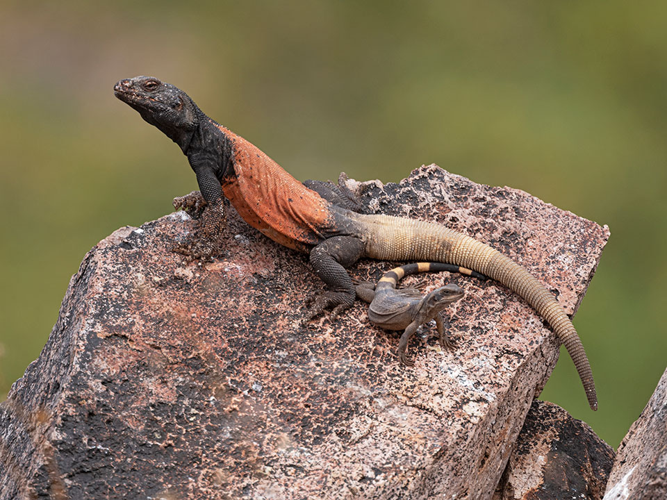 Photograph by Sue Welter