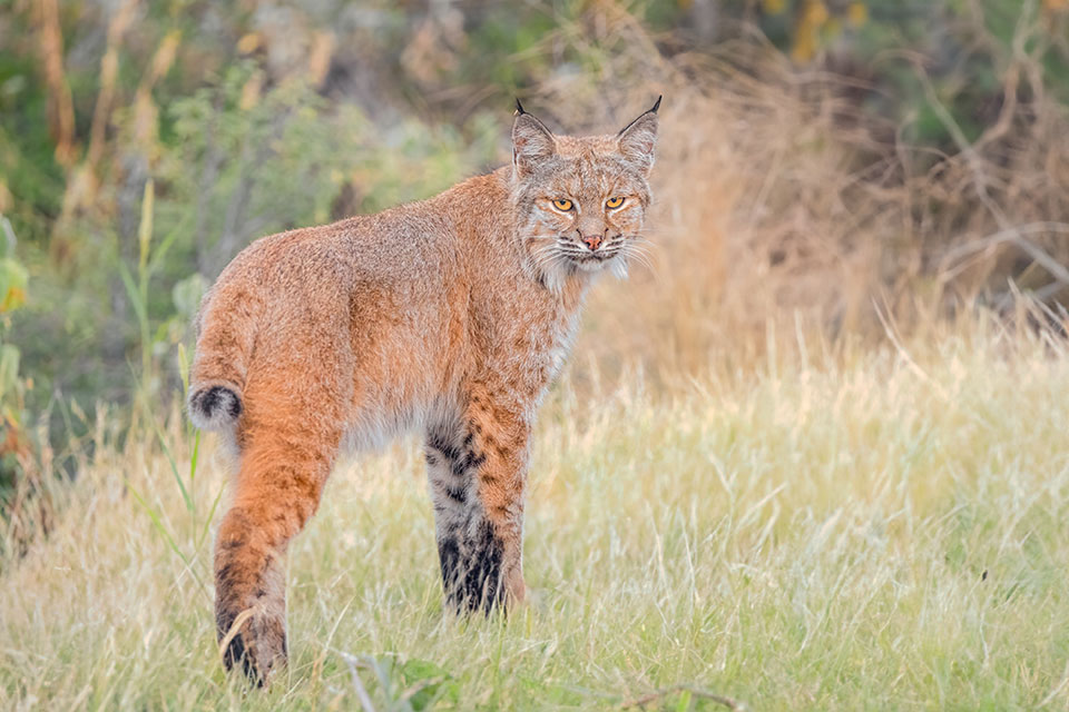 Photograph by David Vincent
