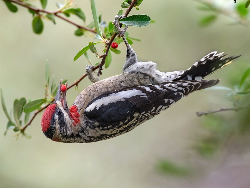 Photograph by Paul Martin