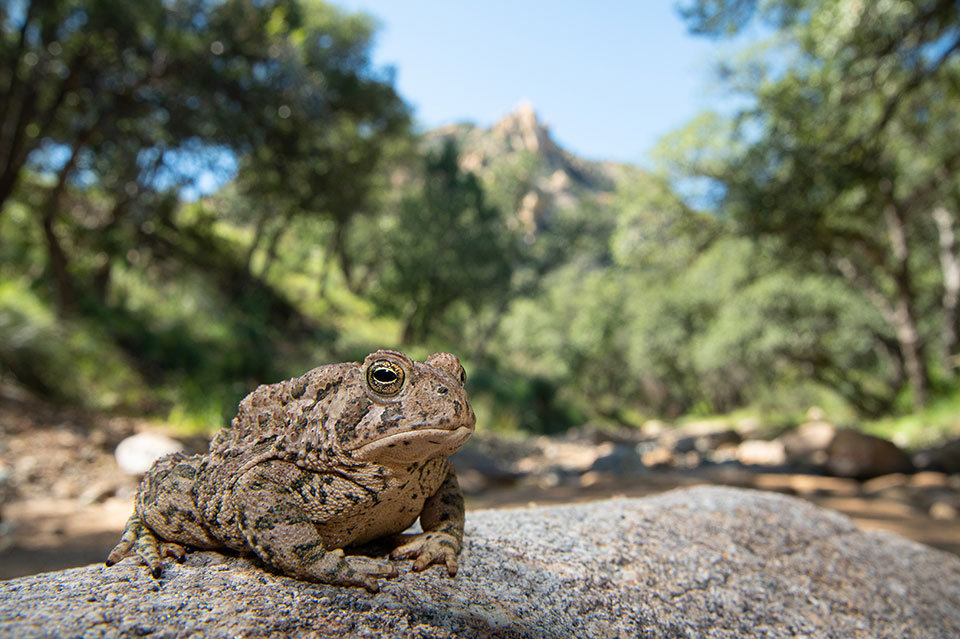 Photograph by William Wells