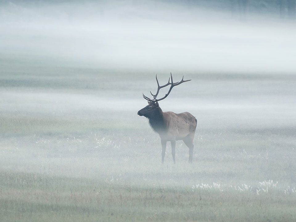 Photograph by Bill Ferris