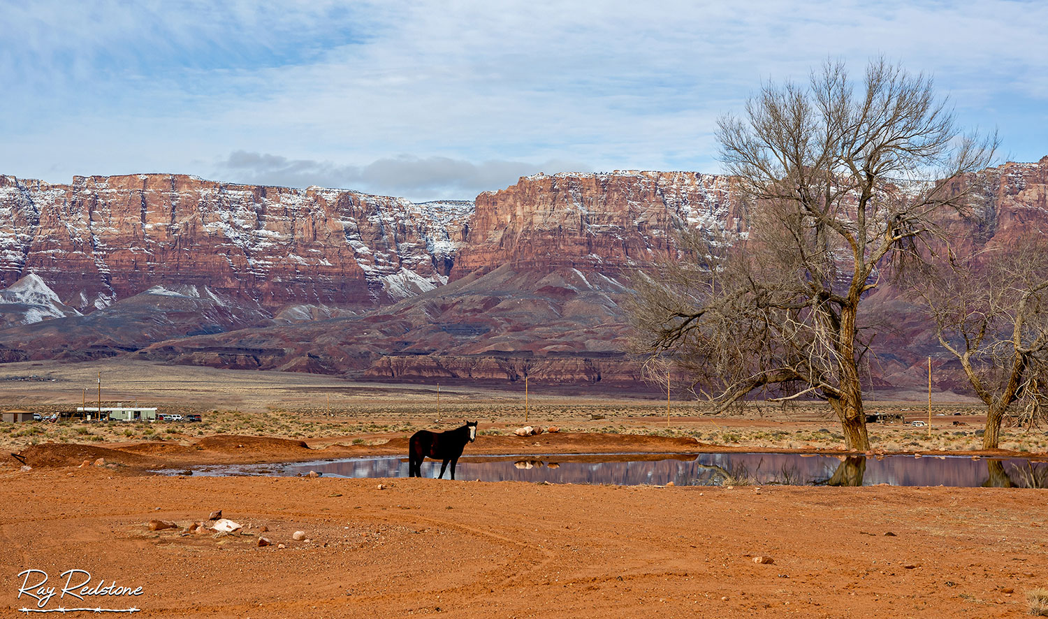 Photograph by Ray Redstone