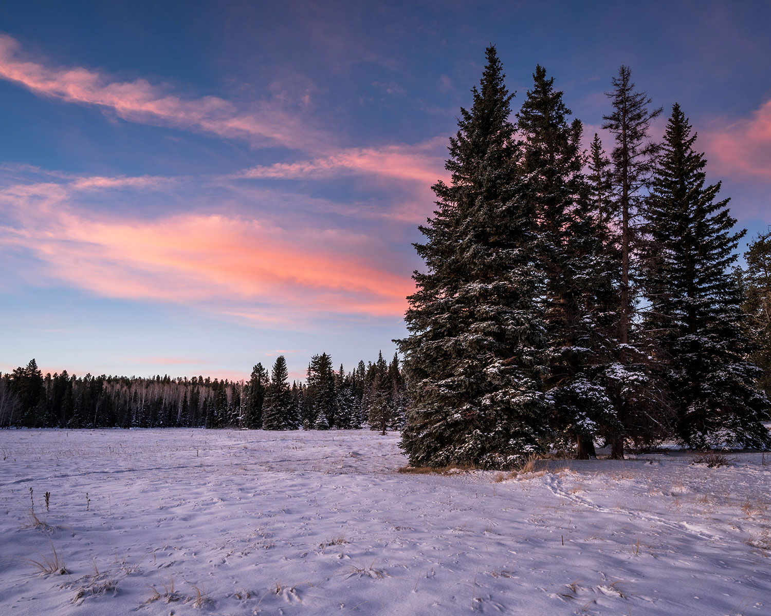 Photograph by Randy Wheelis
