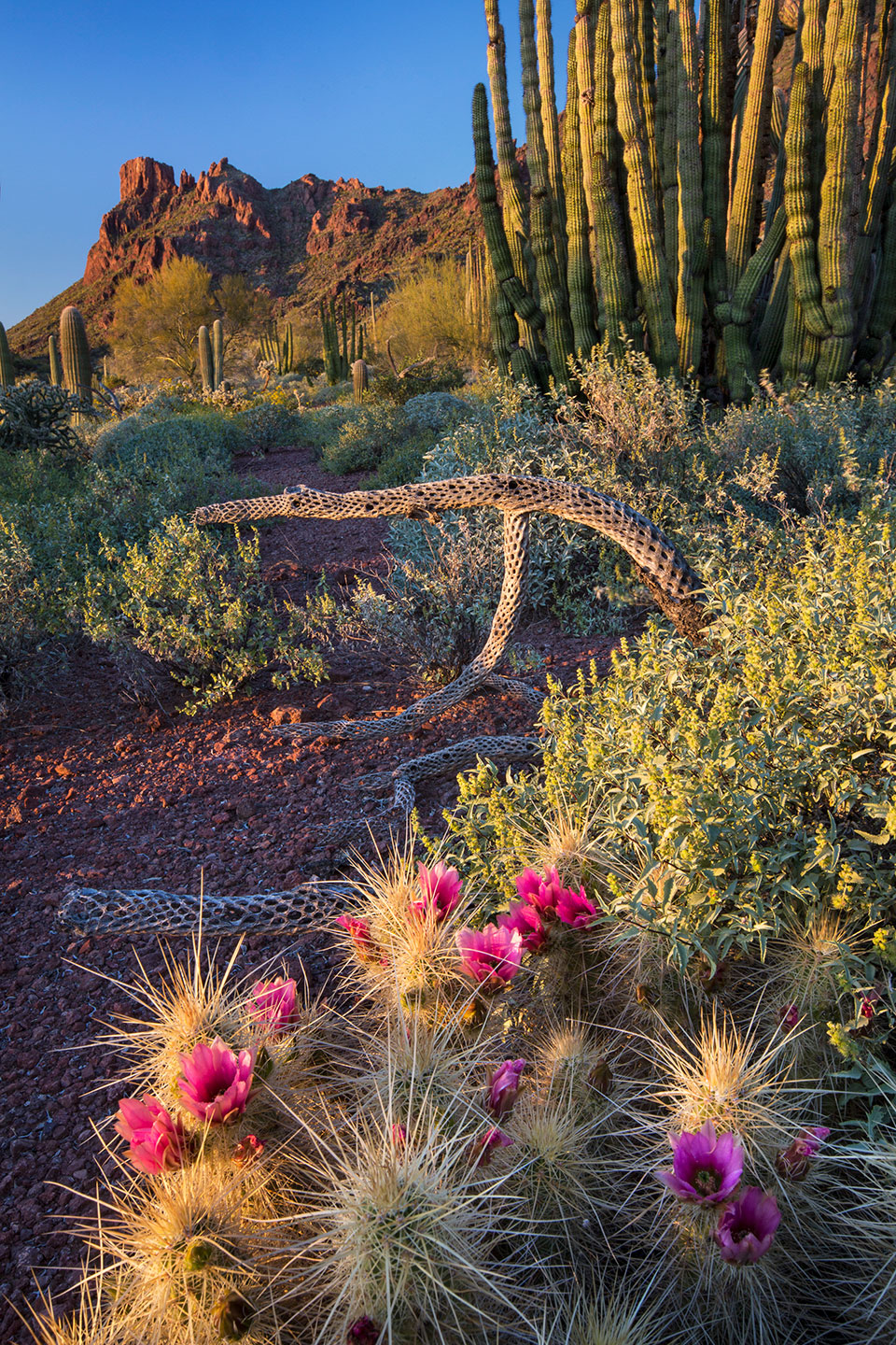 Photograph by Paul Gill