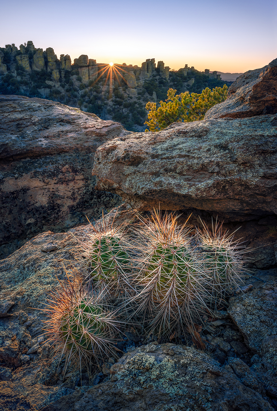Photograph by Wayne Suggs