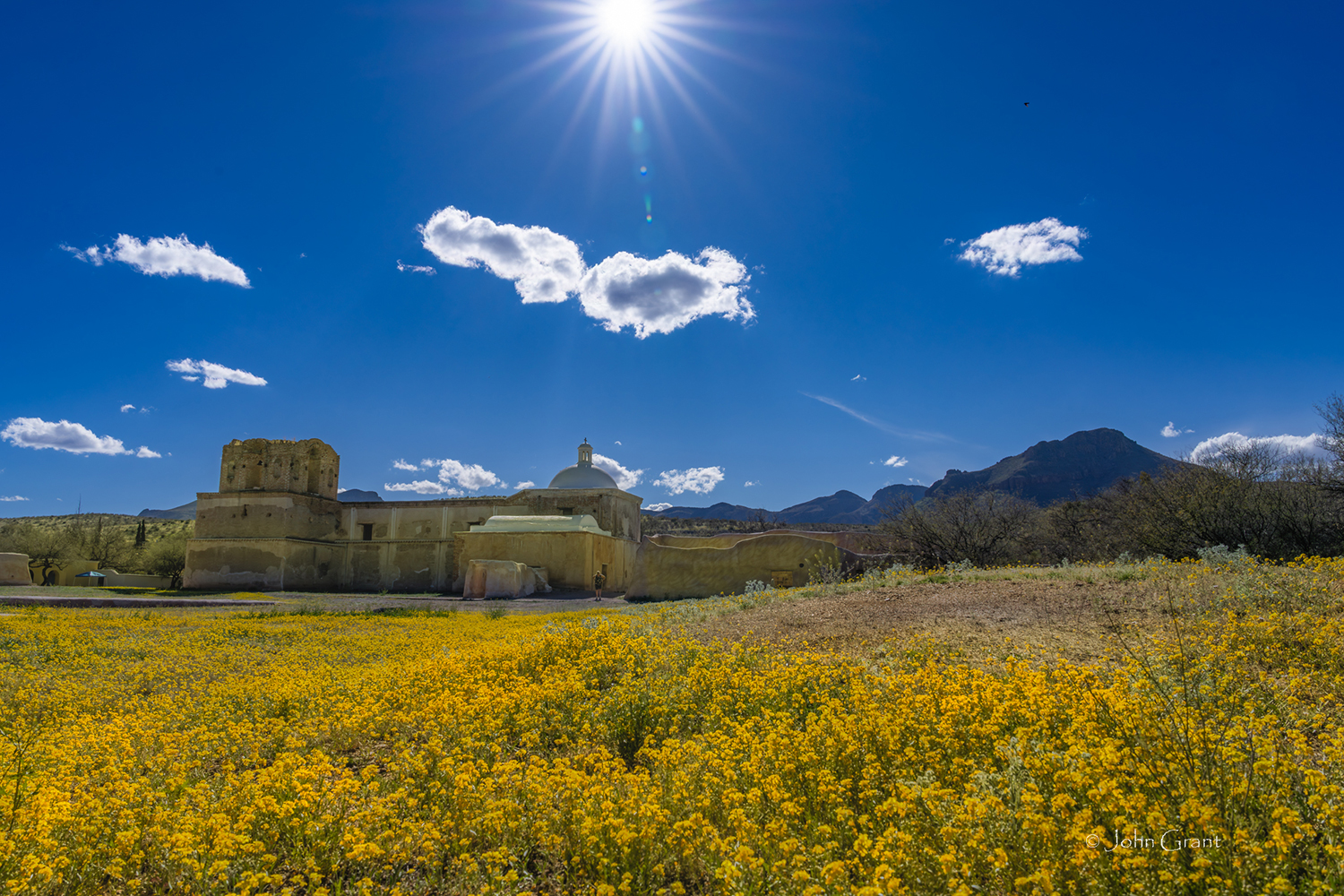 Tumacacori with wildflowers by John Grant