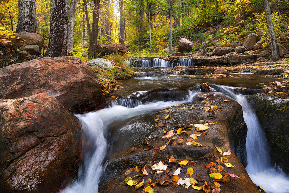 Fall along Horton Creek. Photograph by Jake Pineda.