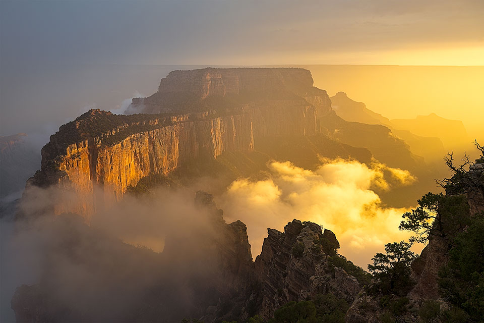 Sunset from Cape Royal on the north rim of the Grand Canyon. Photograph by Mark Henn.