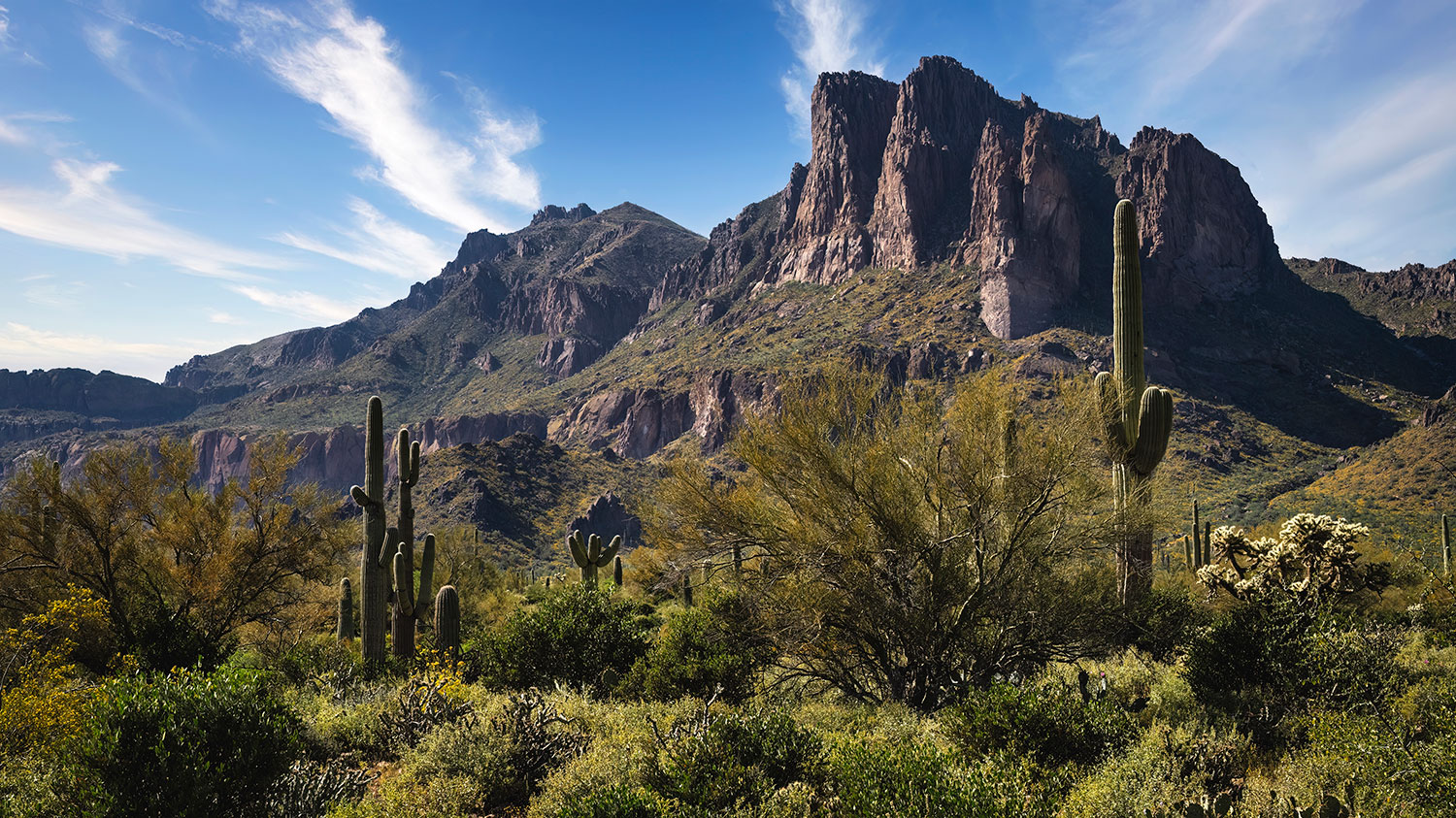 The peaks of the Superstition Mountains loom over a Sonoran Desert landscape in morning light.Photograph by Saija Lehtonen.