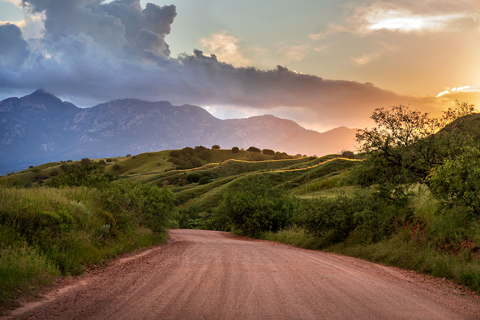 Evening light illuminates the rolling foothills of the Santa Rita Mountains along Gardner Canyon Road, an ideal route for exploring the range. Photograph by Norma Jean Gargasz.