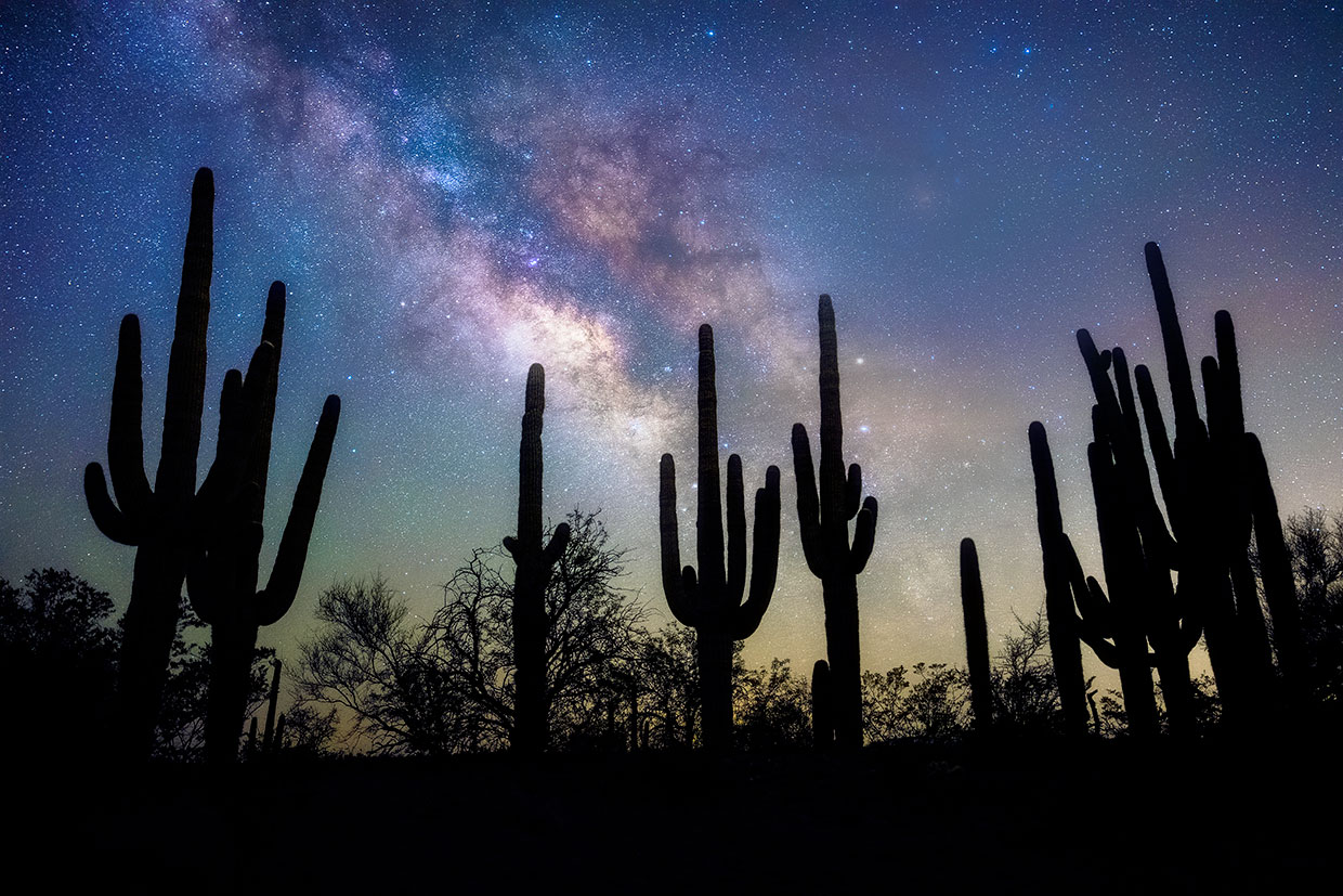 Tall saguaros anchor a nighttime view of the Milky Way galaxy near San Manuel, northeast of Tucson. By Sean Parker