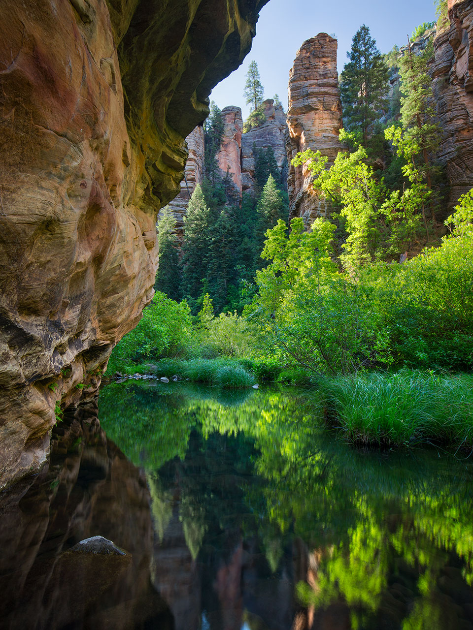 In late-afternoon light, the placid water of Central Arizona’s West Clear Creek mirrors backlit foliage and steep sandstone walls. The West Clear Creek Wilderness, covering more than 15,000 acres, is a haven for hikers and backpackers in search of solitude and natural beauty. By Joel Hazelton
