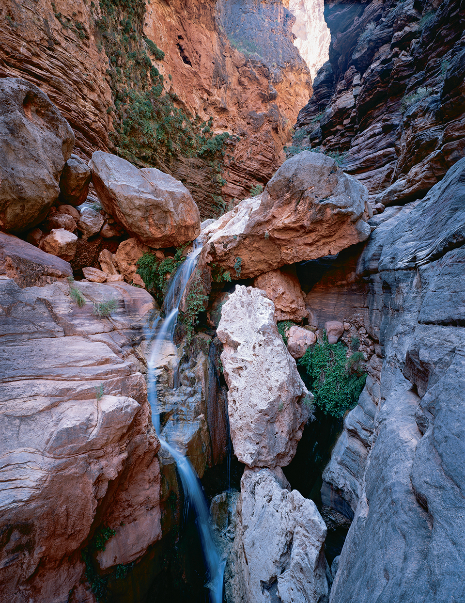 Royal Arch Creek, one of the Colorado River’s many tributaries, nourishes greenery as it cascades over travertine boulders in Elves Chasm, a popular stop among Grand Canyon rafters. By Gary Ladd