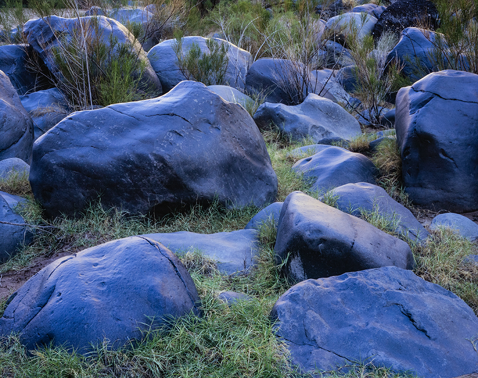 Vegetation surrounds volcanic boulders on the Colorado’s bank at river Mile 180, near Lava Falls Rapid. The boulders’ polished appearance is a result of ancient flood cycles. By Gary Ladd