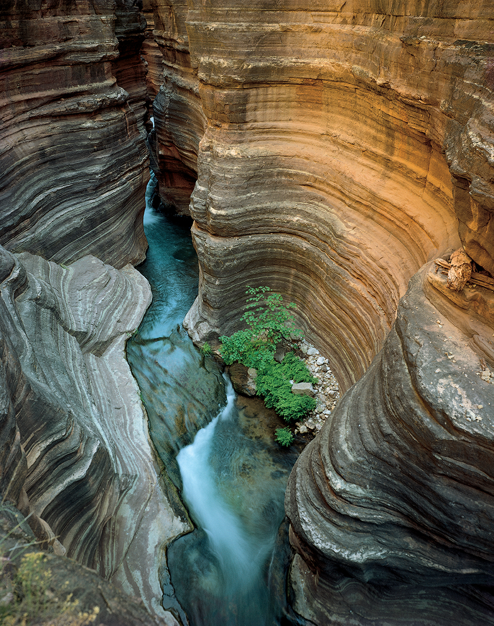 Spared by frequent flash flooding, vegetation clings to a mount of cobbles in a niche along Deer Creek. This waterway’s beautiful slot canyon can be accessed from the river or via a hike that starts at the North Rim’s Monument Point. By Gary Ladd