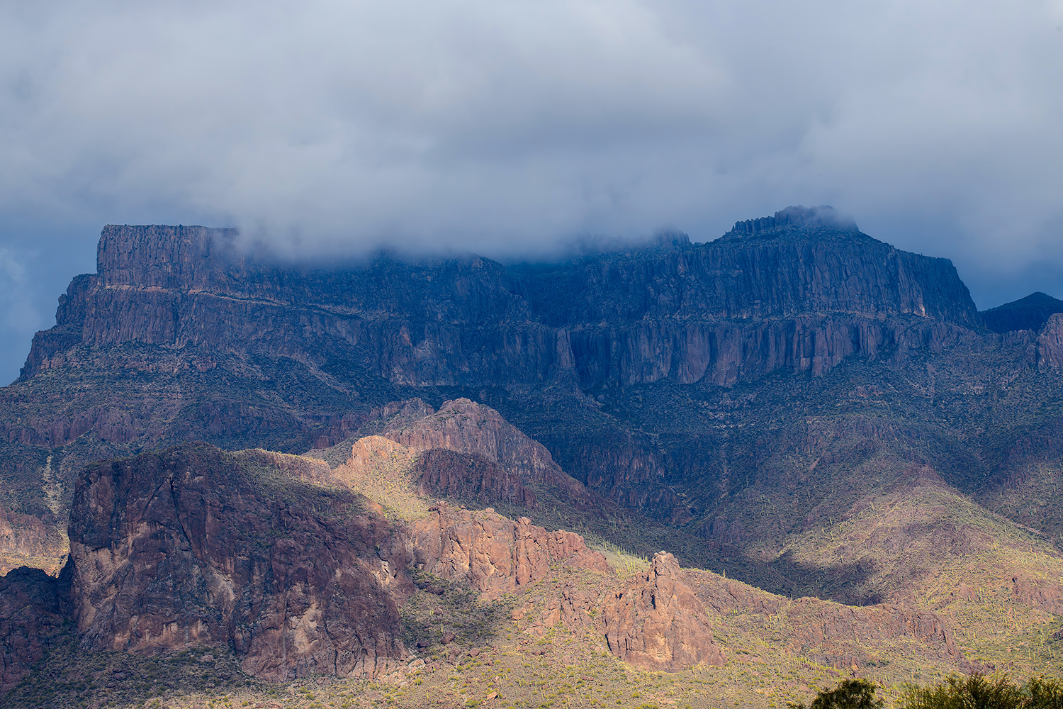 A storm passing over the Superstition Mountains quenches the thirst of its surrounding saguaros. By Tammy Keyes