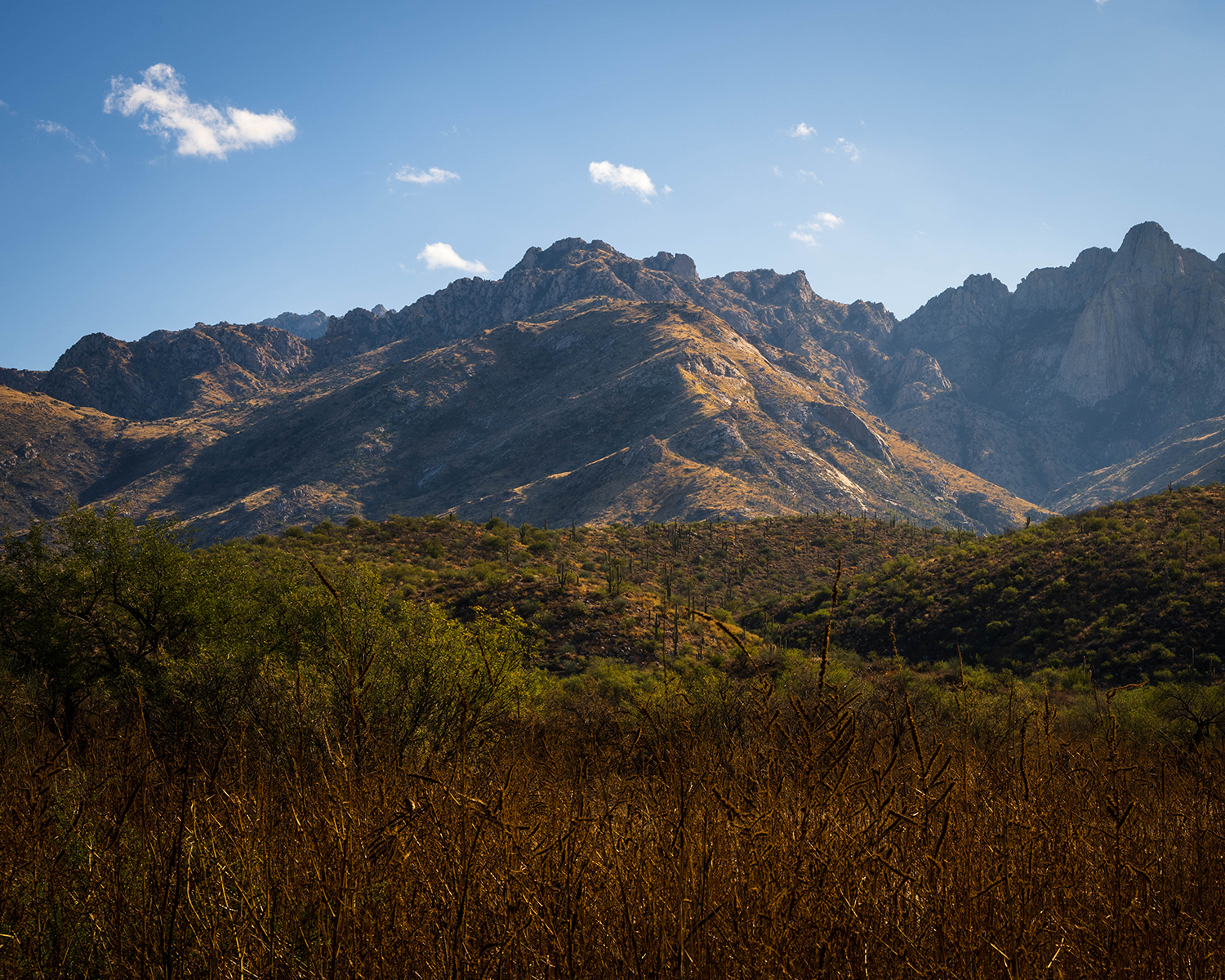Catalina State Park, north of Tucson, offers a view toward Mount Lemmon. Bby Randy Wheelis