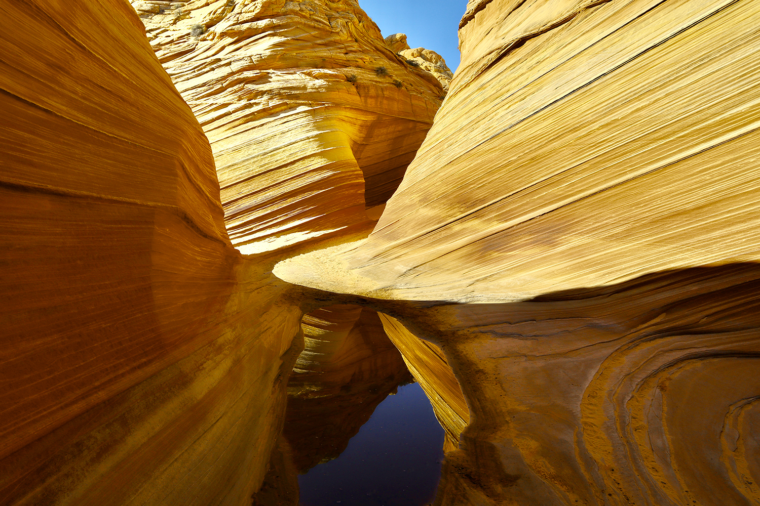 Rainfall gathers in a shallow pool at The Wave, a destination in the Vermilion Cliffs. By Frank Burrows