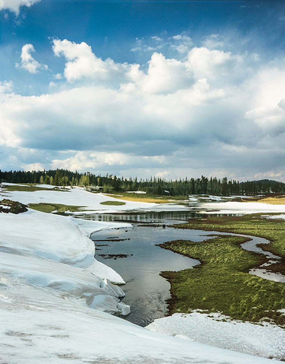 Signs of winter recede from one of the White Mountains’ many expansive meadows. By Wayne Davis