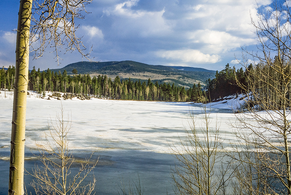 Ponderosa pines and other evergreens surround the frozen surface of A-1 Lake, on White Mountain Apache Tribe land. By Wayne Davis