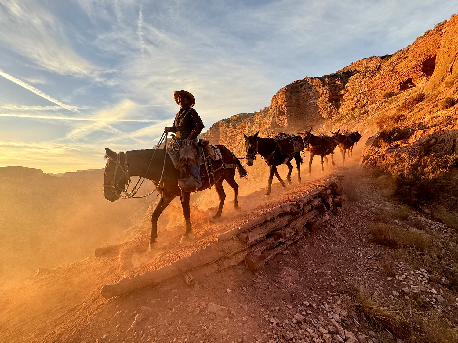 A Grand Canyon wrangler leads his mules to Phantom Ranch for their morning delivery. By Kate Vawter