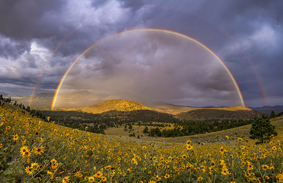 A resplendent double rainbow arcs over endless wildflowers in Robinson Crater, part of the Flagstaff area’s San Francisco Volcanic Field. This area contains more than 600 volcanoes, the youngest of which erupted about 950 years ago. | Laura Zirino