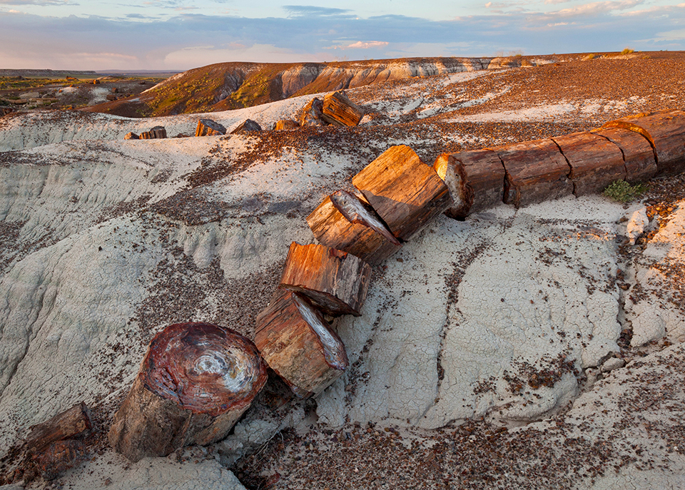 A jumble of petrified logs defines a view near the Crystal Forest Trail at Petrified Forest National Park. The trailhead for this easy loop hike of less than a mile is along the main road through the park. | Larry Lindahl