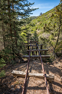 Wooden railroad trestle bridges a gully from a pine covered hilltop.
