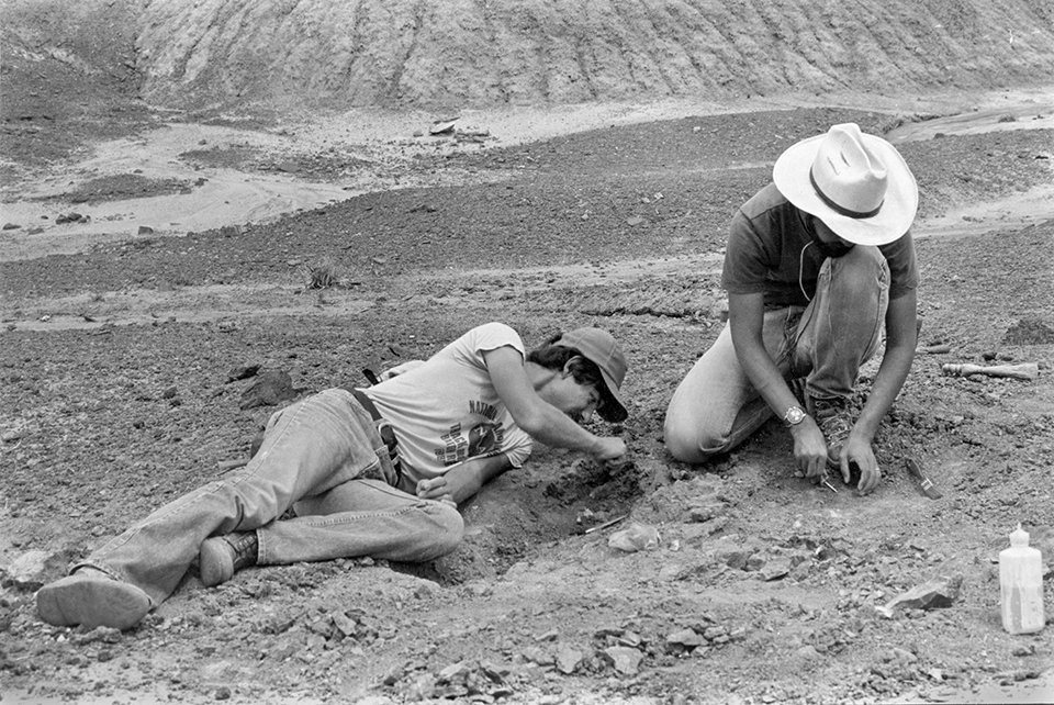 Gertie discoverer Bryan Small (left) and another researcher work at the site of the discovery in August 1984. At the time, Small was a graduate student at Texas Tech University. | National Park Service