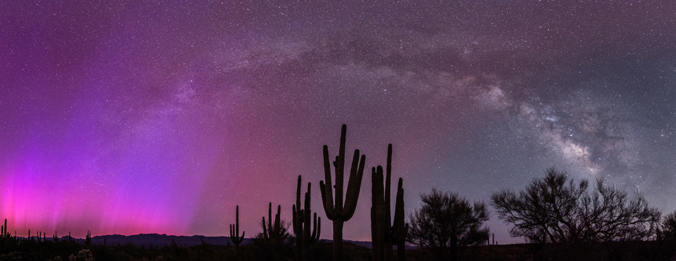 Milky Way arching over beautiful Saguaro cacti with the aurora borealis. By Esther Fleming