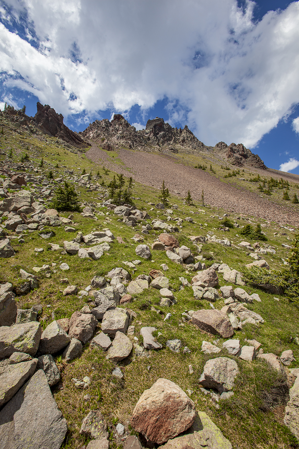 Tundra vegetation grows on a rocky slope below the north side of Agassiz Peak. Because of the presence of an endangered plant species, climbing to the top of Agassiz is prohibited except when snow covers the ground. | Tom Bean