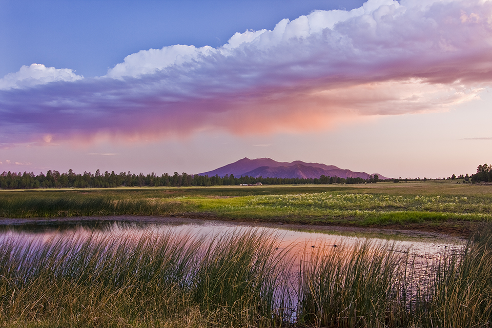 A monsoon storm colors the evening sky over the distant Peaks in a view from Marshall Lake, southeast of Flagstaff. Agassiz Peak is on the left and appears slightly higher than Humphreys Peak from this angle | Joel Hazelton