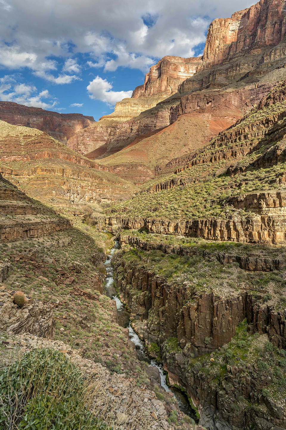 Waterfalls on Tapeats Creek cut through a basalt gorge en route to the Colorado River. Tapeats Spring, where the creek originates, is the largest spring in the Canyon. By Rich Rudow